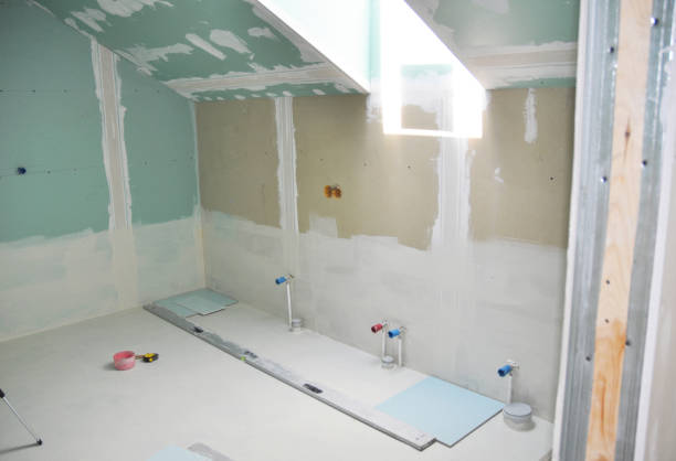 Professional Mold Removal in Mccordsville, IN