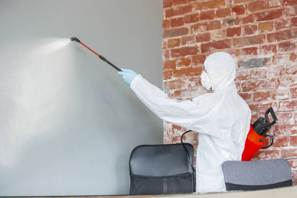 Best Residential Mold Inspection & Testing  in Mccordsville, IN