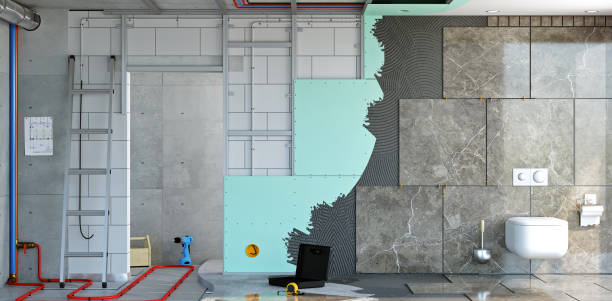 Best Basement Mold Removal  in Mccordsville, IN